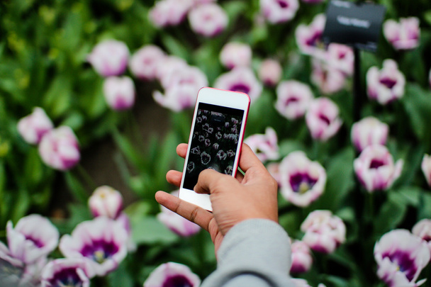 Людина беручи малюнок квіти, використовуючи Ipod Iphone - Фото, зображення