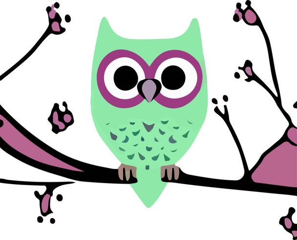 beautiful owl on white background . Vector illustration - Vector, Image