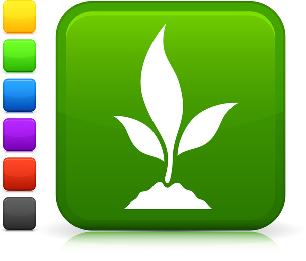 young plant icon on square internet button - Vecteur, image