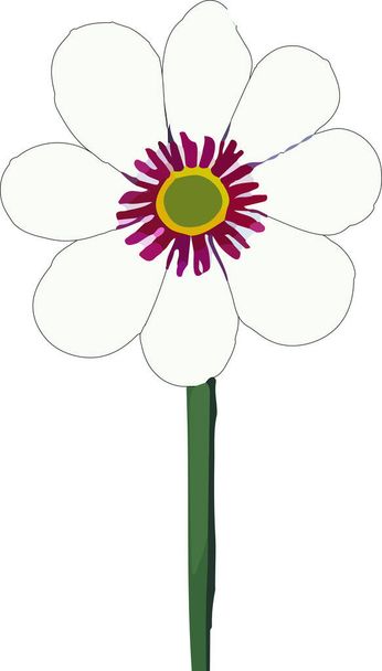 Schöne Blume auf weißem Hintergrund Rose, Blume, Vektor - Vektor, Bild