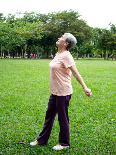 Yaşlı, yaşlı Asyalı bir kadının portresi. 60 'lı yaşlarda gülümseyen ve kollarını uzatan. Rahatlayıp parkta temiz havanın tadını çıkaran.. - Fotoğraf, Görsel