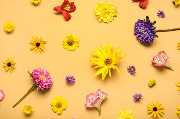Composizione con bellissimi fiori autunnali su sfondo a colori - Foto, immagini