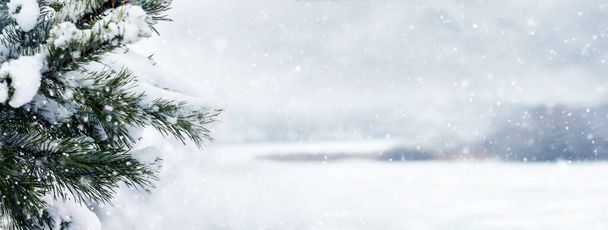 Зимовий пейзаж зі сніжною гілкою ялини на тлі засніженого поля під час снігопадів
 - Фото, зображення