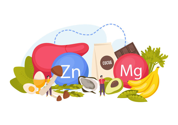Doğal besin kaynakları çinko ve magnezyum düz kompozisyon karaciğer çikolatalı yumurta muz avokado istiridye çizimi - Vektör, Görsel