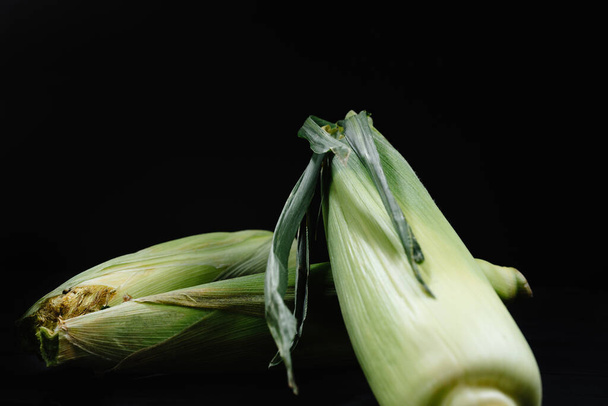 Kaksi mustaa maissintähkää. Tuoreuden ja sadonkorjuun käsite - Valokuva, kuva