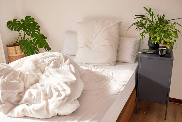 Neustlaná prázdná postel na slunci s rostlinami v ložnici. Kvalitní fotografie - Fotografie, Obrázek