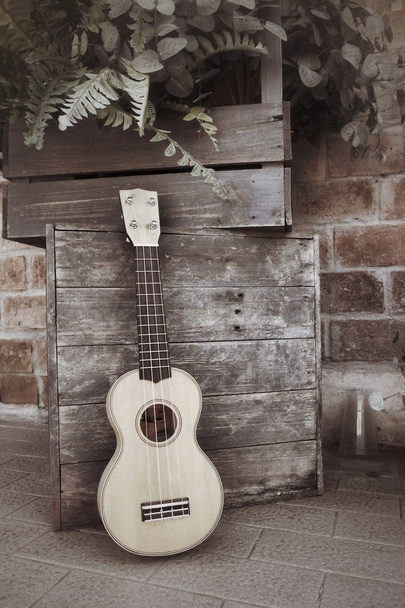 ukulele - Φωτογραφία, εικόνα