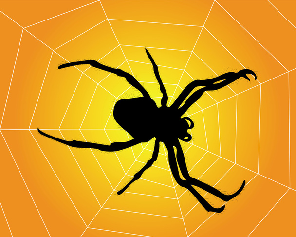 Spider web with - Vektor, kép
