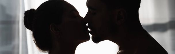 Evde öpüşen çiftlerin karanlık siluetinin yan görüntüsü, pankart - Fotoğraf, Görsel