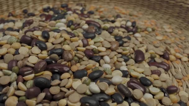 Dried legumes and cereals. Group of beans and lentils - Video