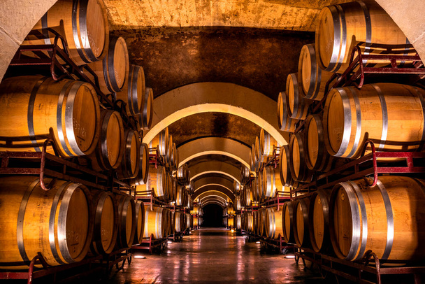 Şarap mahzeninin mahzeninde şarap fıçıları var.. - Fotoğraf, Görsel