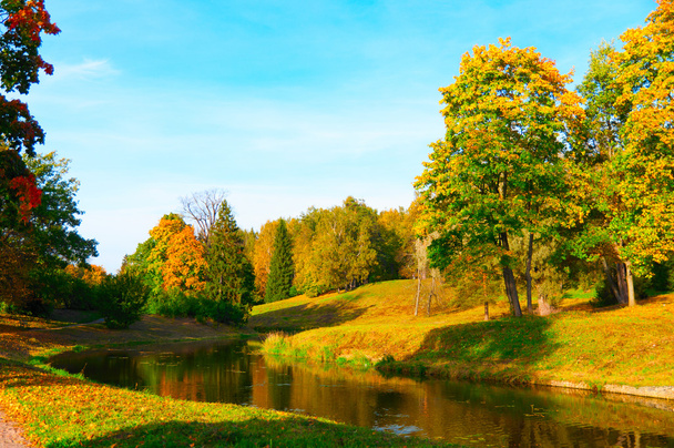 Autumn park - Foto, Imagen
