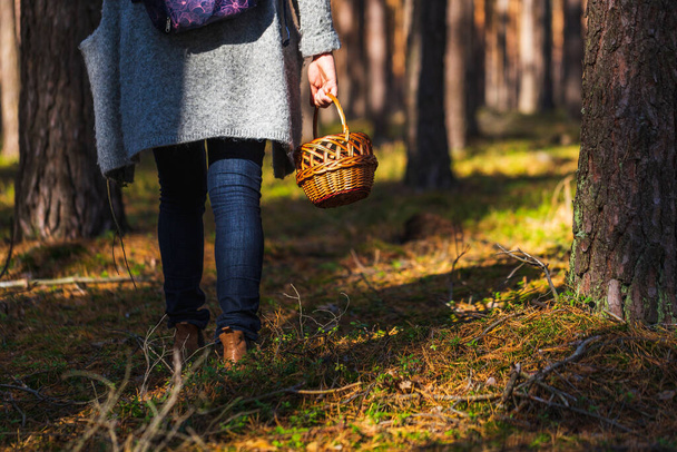 Woman in autumn forest is mushroom picking to wooden basket.	 - Fotoğraf, Görsel