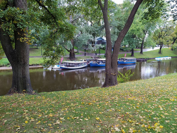 Letland, Riga. Gouden herfst in Riga parken. - Foto, afbeelding