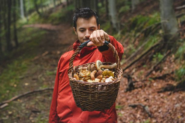 Açık havada giyinmiş bir adam, sonbahar ormanlarından gelen mantarlarla dolu bir sepet tutuyor. Eylül ve Ekim. Mantar bulmak ve toplamak. - Fotoğraf, Görsel