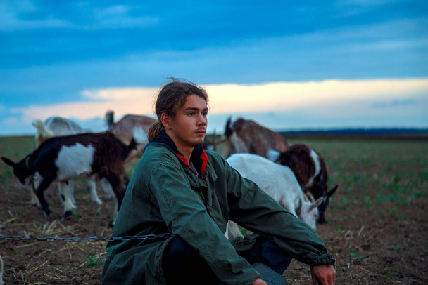 A teenage boy grazes goats in a field. A shepherd with goats in a field against a stormy sky. The concept of animal husbandry, survival, household.  - 写真・画像