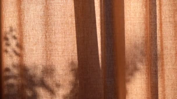 Mooie linnen gordijnen weerspiegelen de schaduwen van de takken en bladeren van de bomen buiten op een zonnige ochtend. - Video