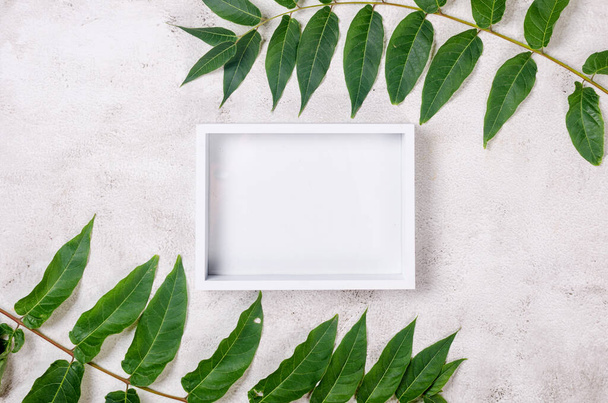 Empty white card with grassy foliage on textured background. Minimalist backdrop background for mockup. Summer background with a pattern of highlights. Flat lay, nature concept, mockup - Photo, image