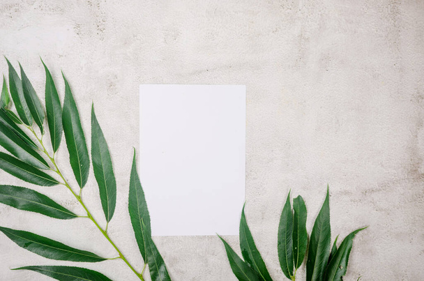 Empty white card with grassy foliage on textured background. Minimalist backdrop background for mockup. Summer background with a pattern of highlights. Flat lay, nature concept, mockup - Photo, image