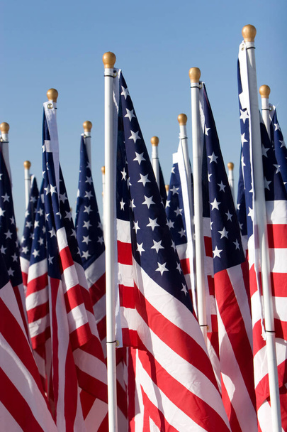 Вишикувались кілька американських прапорів - Фото, зображення