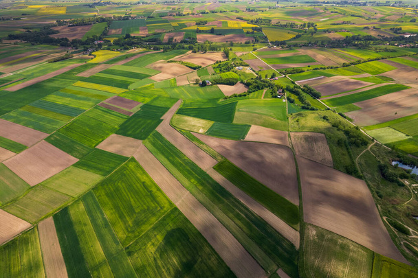 Agriculture Terres Paterns in Rural Countryside. Vue Aérienne Par Drone. - Photo, image
