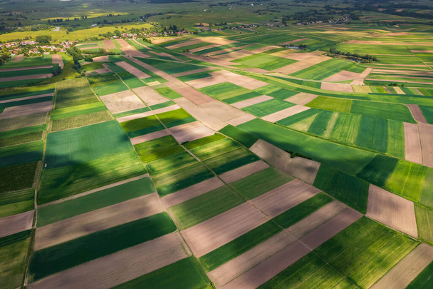 Prachtige weelderige akkers op het platteland, Polen. Drone View van bovenaf. - Foto, afbeelding