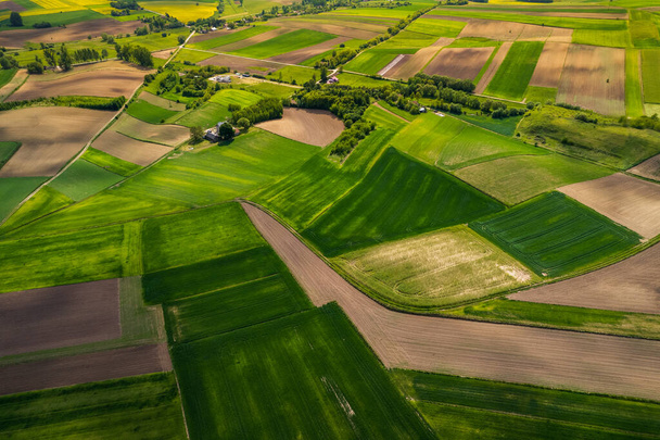 Farbenfrohe saftige Erntefelder in ländlicher Landschaft. Drohnenblick aus der Luft. Polnische Äcker. - Foto, Bild