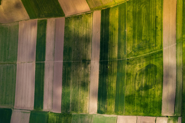 Польське сільське господарство Краєзнавчий ландшафт на весні. Вид повітряного дрона. - Фото, зображення