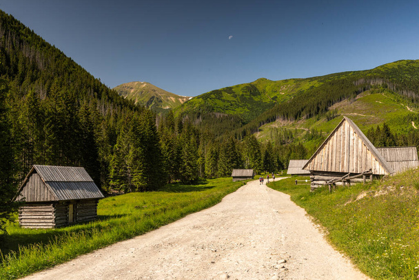Cabane dans la vallée de Chocholowka dans les montagnes du parc national tatra en Pologne près de Zakopane. - Photo, image