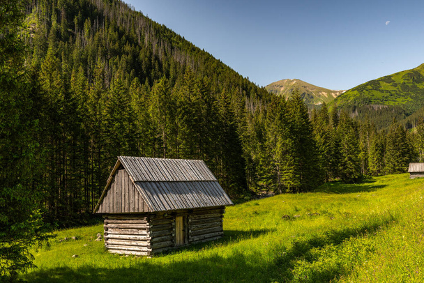 Chata w Dolinie Chocholowki w górach Tatrzańskiego Parku Narodowego pod Zakopanem. - Zdjęcie, obraz