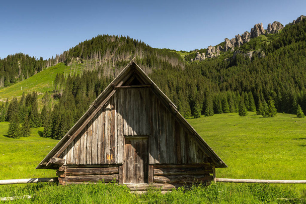 Kunyhó Chocholowka völgyben Tatra Nemzeti Park hegyek Lengyelországban közel Zakopane. - Fotó, kép