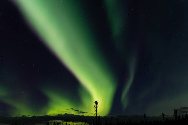 アラスカ、オーロラ、野生の夜の風景 - 写真・画像