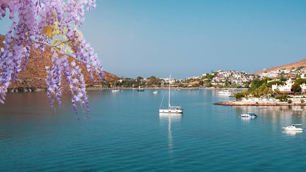 Вид на пляж Бодрума, Эгейское море, традиционные белые дома, цветы, пристань для яхт, лодки в турецком городе Бодрум. Вид спереди - Фото, изображение