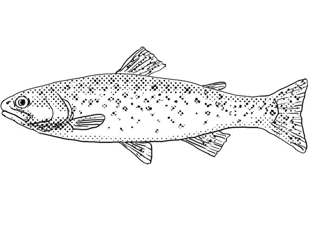 Картонний малюнок горлової форелі або Oncorhynchus clarkii прісноводної риби ендемік Північної Америки з крапками півтону на ізольованому тлі на чорно-білому.. - Фото, зображення