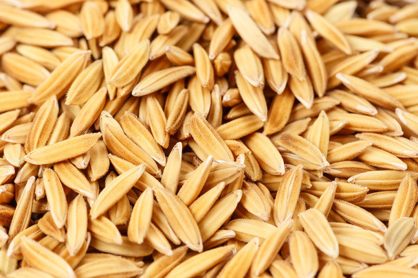 Uncooked rice grains - Φωτογραφία, εικόνα