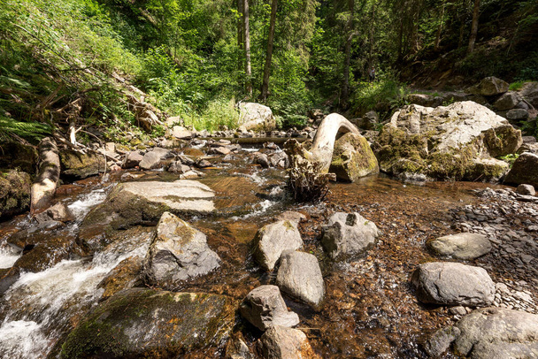 Baumstamm und Steine nach Sturm im Fluss - Foto, Bild