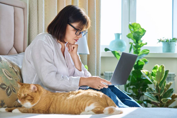 Middle aged relaxed woman together with sleeping ginger red old cat sitting on bed at home, female using laptop for leisure work rest. Home leisure, lifestyle, domestic animal pet, 40s people concept - 写真・画像