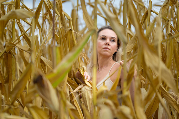 Aantrekkelijke blonde vrouw die een gouden jurk draagt staat midden in een maïsveld opzij kijkend in gedachten - Foto, afbeelding