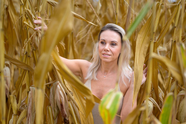 Vonzó szőke nő arany ruhában áll egy kukoricamező közepén, gyengéd mosollyal a kamerába nézve. - Fotó, kép