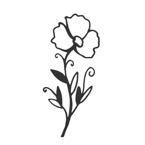 Hand drawn flower isolated on white background. Decorative doodle sketch illustration. Vector floral element. - Vector, Imagen