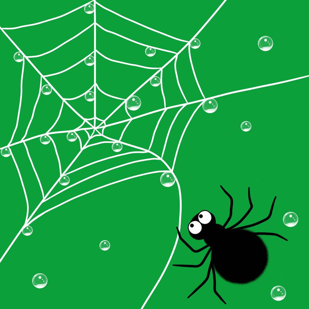 Asiento de araña negra en la tela blanca  - Foto, imagen