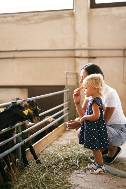 Maman avec une petite fille devant un corral avec des chèvres dans une ferme. Photo de haute qualité - Photo, image