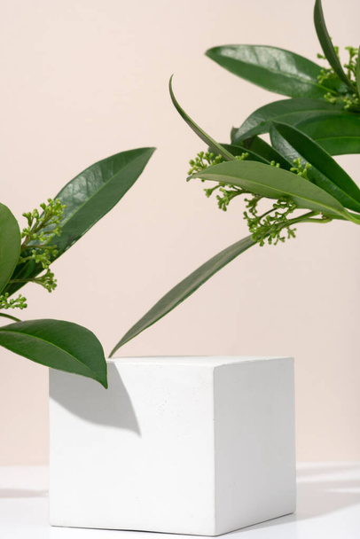 Weißer poröser Gipskubus für Podium-Kosmetikprodukte auf beigem Hintergrund mit grünen Öko-Blättern. Attrappe leere Vorlage vertikal - Foto, Bild
