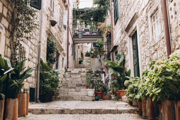 Dubrovnik, Croatia - September 21, 2021: Narrow dark street with greenery in old medieval town, listed UNESCO World Heritage Sites. King's Landing, capital of Seven Kingdoms in show Game of Thrones - Foto, Imagem