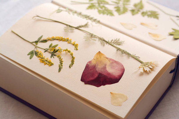 Book with dried flowers and leaves on white fabric, closeup - Foto, afbeelding
