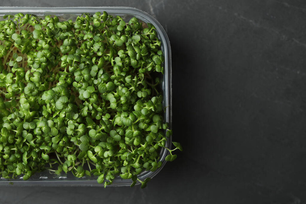 Sprouted arugula seeds in plastic container on grey table, top view. Space for text - Foto, immagini