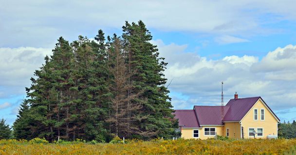 RURAL PRINCE EDWARDS ISLAND 08 17 2022: Fram house in rural Prince Edward Island, Canada. - Foto, Imagem
