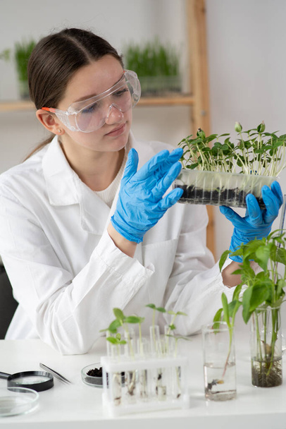Close-up of a female scientist analyzing young plants at the laboratory. Biotechnology and gmo concept - Foto, Imagem