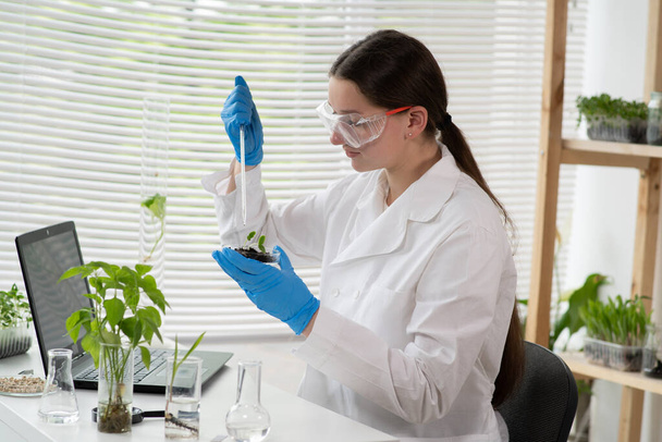 La microbióloga femenina añade vitaminas y minerales de una pipeta al cultivo de plantas verdes. Científico médico trabajando en un laboratorio de ciencias. - Foto, Imagen