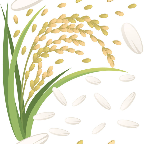 Naadloos patroon Aziatische landbouw rijst plant met oren witte korrel vector illustratie op witte achtergrond. - Vector, afbeelding